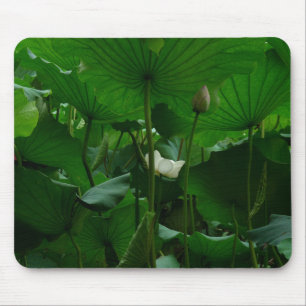 Under the Lotus Leaves Mouse Pad