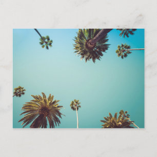Under the palms, photo travel postcard