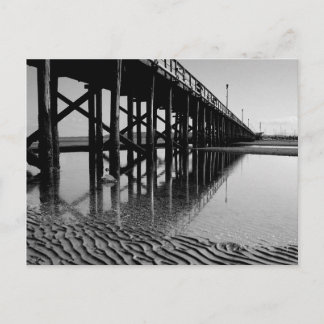 Under the Pier Postcard