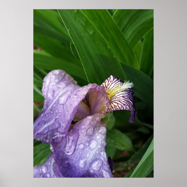 under the rain poster (Front)