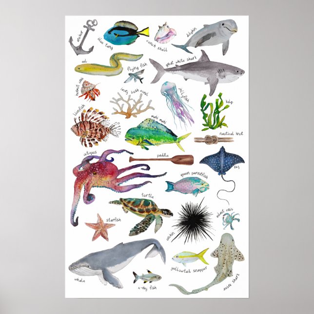 Under the Sea Alphabet Poster (Front)
