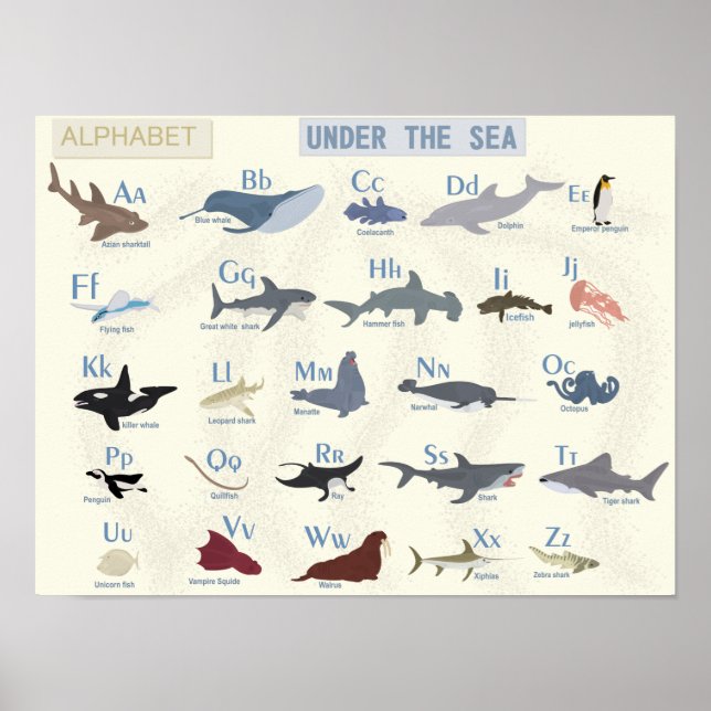 Under The Sea Alphabet Poster (Front)