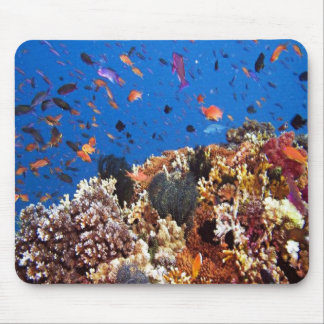 Under the sea aquatic fish scenes mouse pad