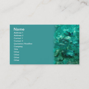 Under the Sea Business Card