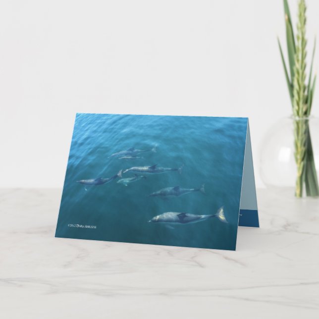 Under the Sea Card (Front)