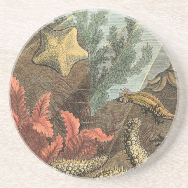 Under the Sea Coaster (Front)