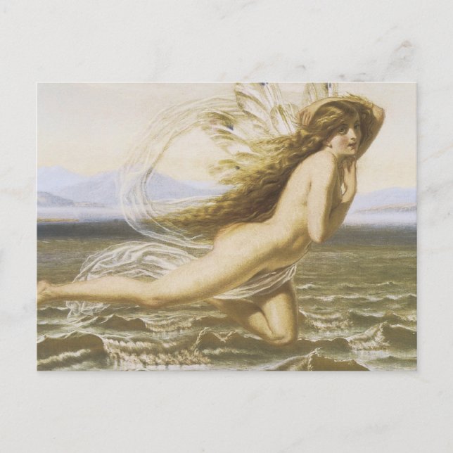 Under The Sea Fairy Postcard (Front)