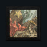 Under the Sea Gift Box<br><div class="desc">Go underwater to explore the sea with all these different sea creatures. This vintage piece of art is a perfect addition to any sea anemone lovers. It captures sealife with starfishes, kelp, seaweed, and other sea creatures. Get your art print today on your product.</div>
