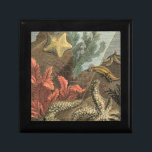Under the Sea Gift Box<br><div class="desc">Go underwater to explore the sea with all these different sea creatures. This vintage piece of art is a perfect addition to any sea anemone lovers. It captures sealife with starfishes,  kelp,  seaweed,  and other sea creatures. Get your art print today on your product.</div>