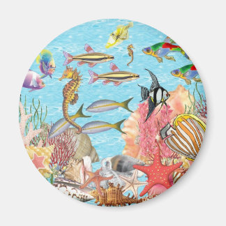 Under the sea magnet