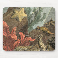 Under the Sea