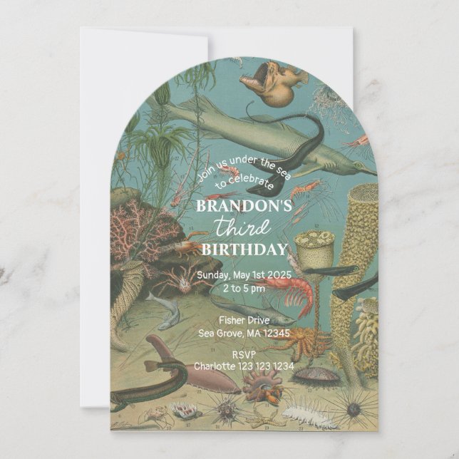 Under The Sea Ocean Sea Animal retro Birthday  Invitation (Front)