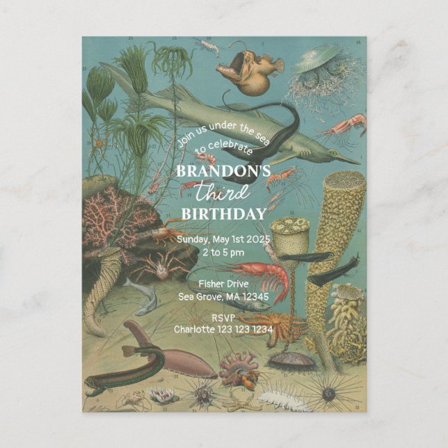 Under The Sea Ocean Sea Animal retro Birthday  Invitation Postcard (Front)