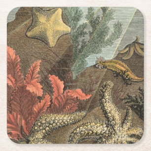 Under the Sea Square Paper Coaster