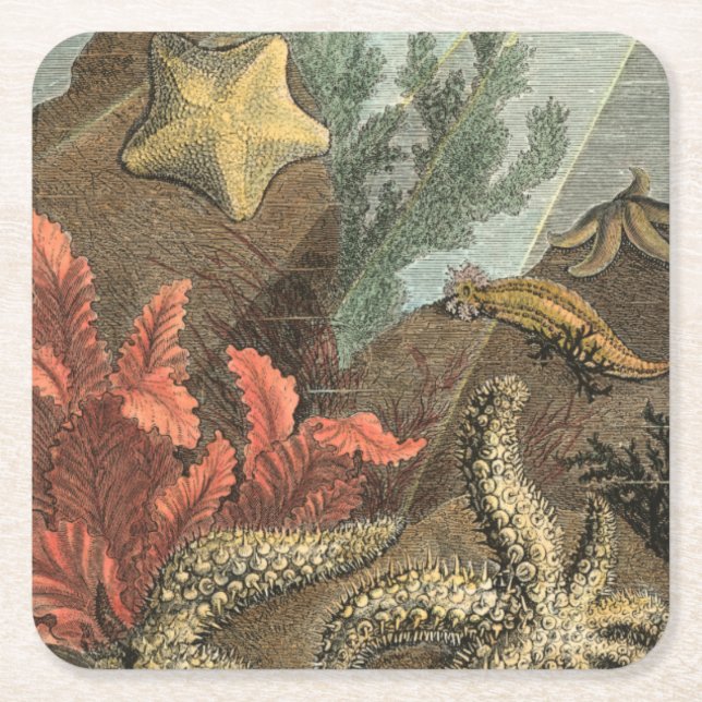 Under the Sea Square Paper Coaster (Front)