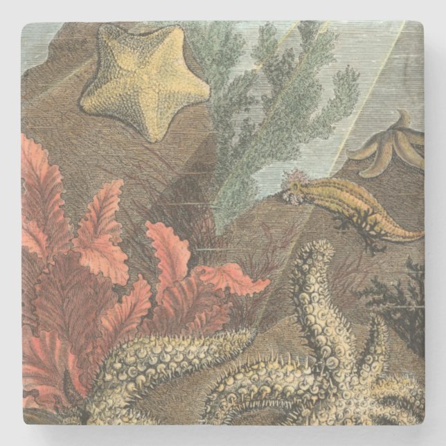 Under the Sea Stone Coaster (Front)
