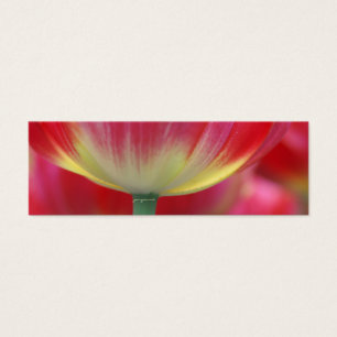 under the skirt of tulips