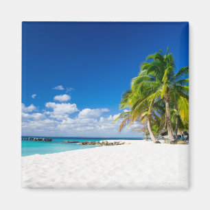 Under the tropical sun magnet