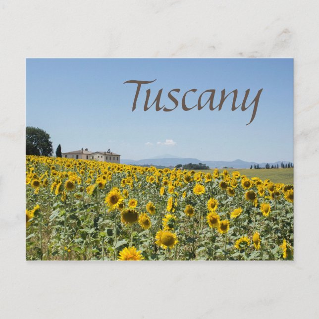 Under the Tuscan Sun Postcard (Front)