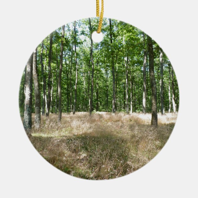 under wood and grass carpets in the fall ceramic tree decoration (Front)