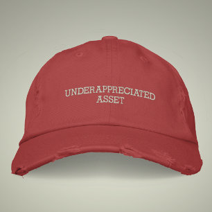 Underappreciated Asset Vintage Style Distressed  Embroidered Hat