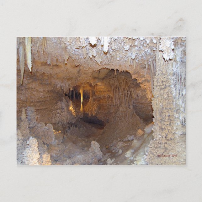 Underground Beauty Postcard (Front)