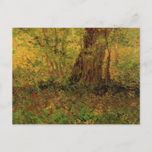 Undergrowth by Vincent van Gogh Postcard