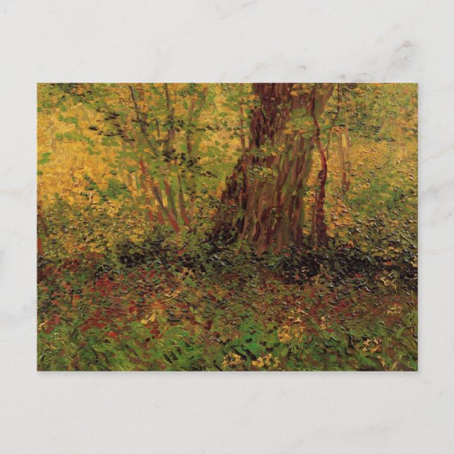 Undergrowth, Van Gogh Fine Art Postcard (Front)