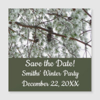 Underneath the Snow Covered Pine Tree Winter Photo