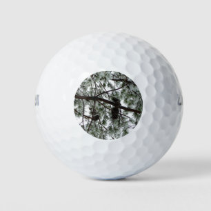Underneath the Snow Covered Pine Tree Winter Photo Golf Balls