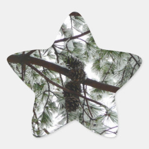 Underneath the Snow Covered Pine Tree Winter Photo Star Sticker