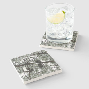 Underneath the Snow Covered Pine Tree Winter Photo Stone Coaster
