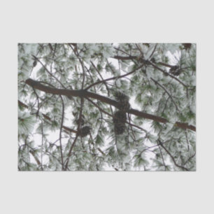 Underneath the Snow Covered Pine Tree Winter Photo Tissue Paper