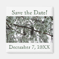 Underneath the Snow Pine Save the Date Magnet
