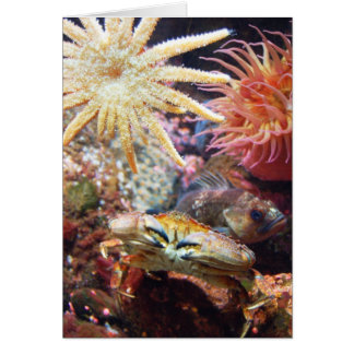 Undersea