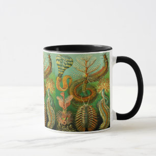 Undersea Colour Mug