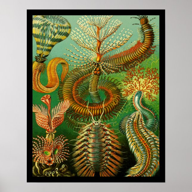 Undersea Colour Poster (Front)