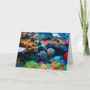 Undersea Tropical Coral Reef Card