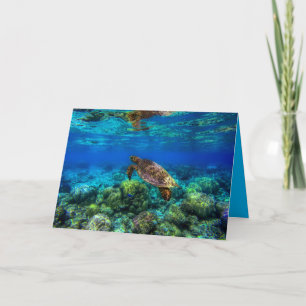 Undersea Tropical Sea Turtle Coral Card