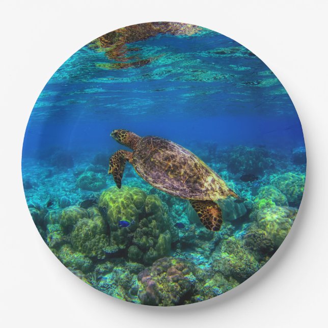 Undersea Tropical Sea Turtle Coral Paper Plate (Front)
