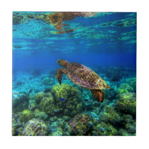 Undersea Tropical Sea Turtle Coral Tile