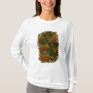 Understory palm detail. Mindo Cloud Forest. T-Shirt
