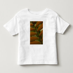 Understory palm detail. Mindo Cloud Forest. Toddler T-Shirt