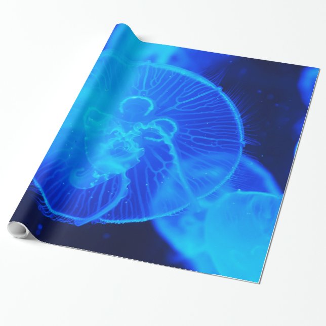 Underwater 16 Wrapping Paper (Unrolled)