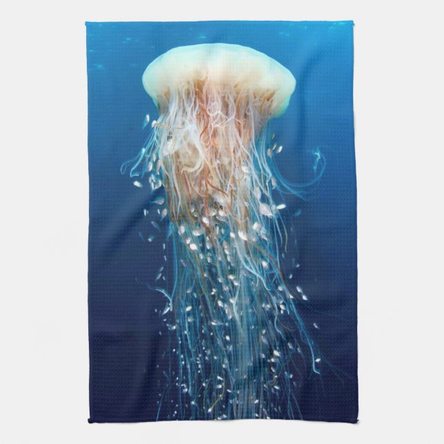 Underwater 31 Kitchen Towels (Vertical)