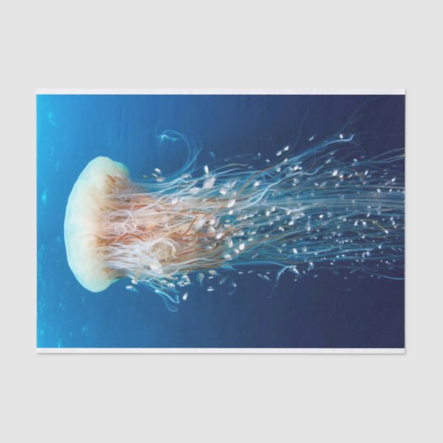 Underwater 31 tissue paper (Front)