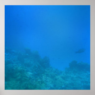 Underwater Background Scene Poster