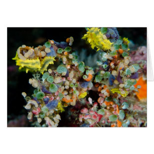 Underwater beauty