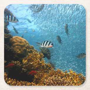 Underwater Beauty, Fish and Coral Square Paper Coaster