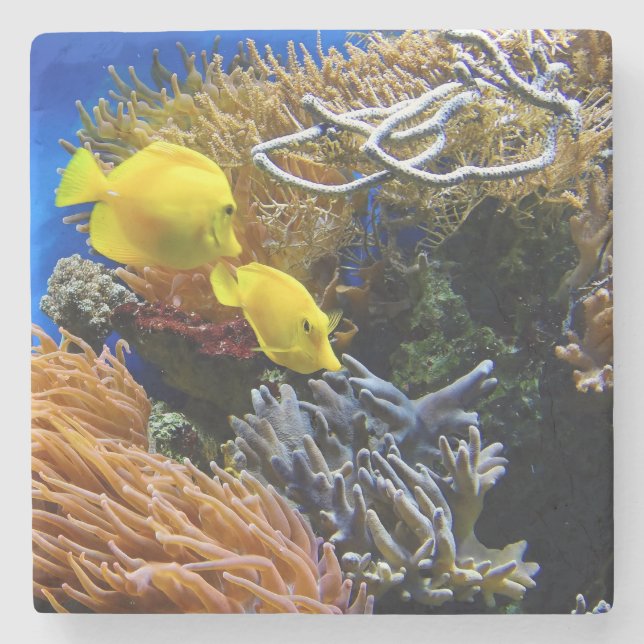 Underwater Beauty, Fish and Coral Stone Coaster (Front)